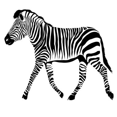  Siyah soyut zebra 