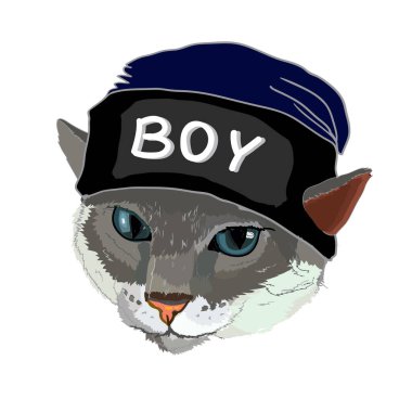  Renk kedi şapka ile