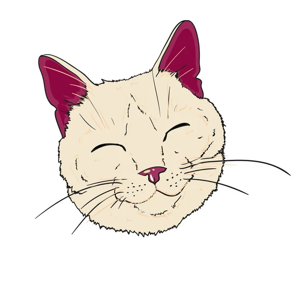 Ilustración gato color — Vector de stock