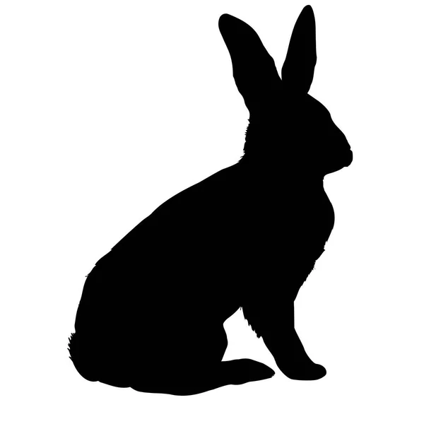 Zwarte konijn silhouet — Stockvector