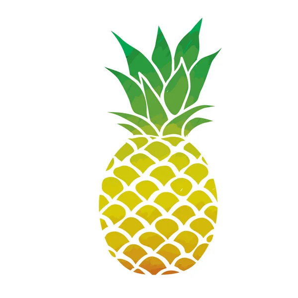 Ananas Meyve illüstrasyon