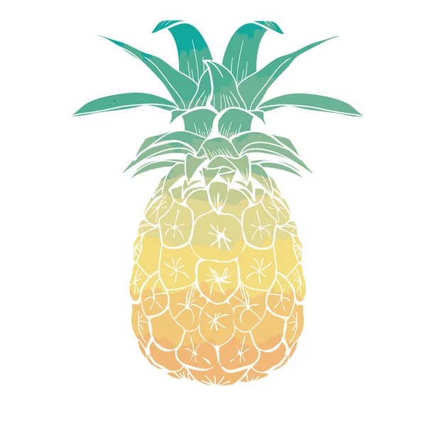 Ilustración de fruta de piña — Vector de stock