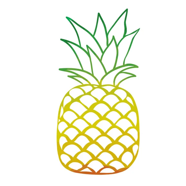 Ananas vruchten illustratie — Stockvector