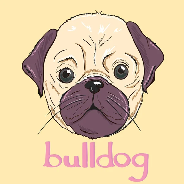 Illusztráció aranyos bulldog — Stock Vector