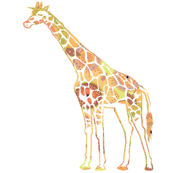 Wild giraffe illustration — Stock Vector