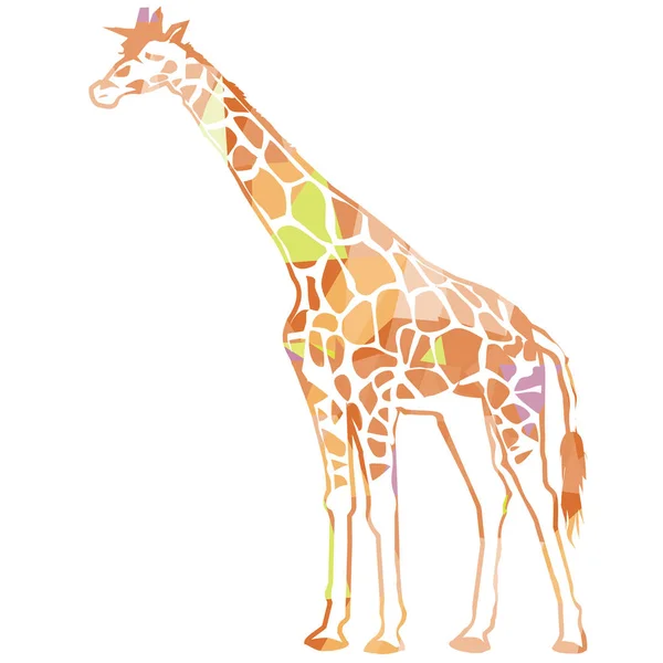 Ilustración jirafa salvaje — Vector de stock