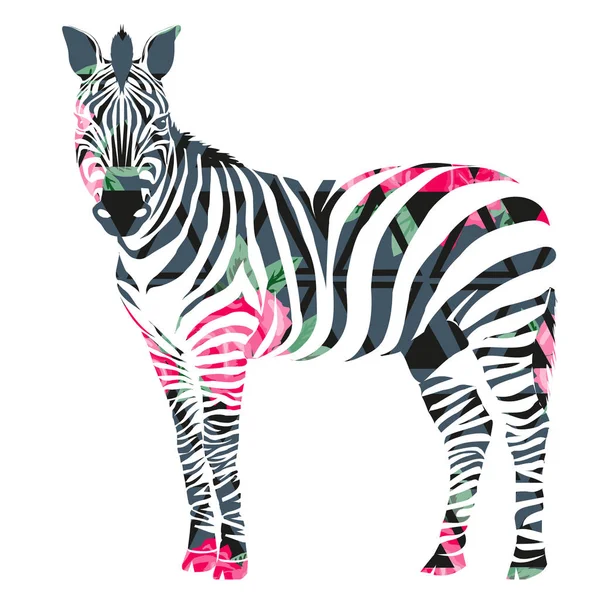 Barevné abstraktní zebra — Stockový vektor