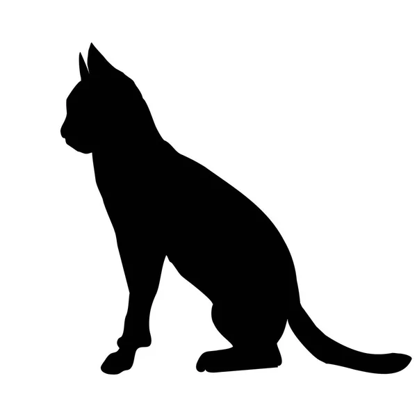 Sílhueta de gato preto —  Vetores de Stock