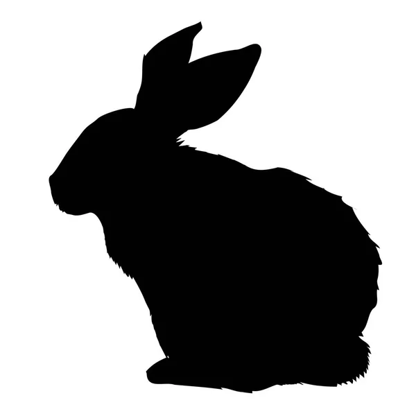 Rabbit hunting Vector Art Stock Images | Depositphotos
