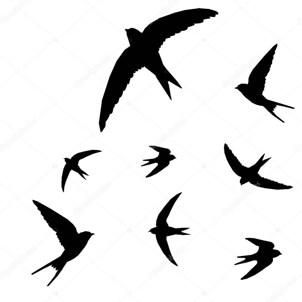  abstract swallows illustration