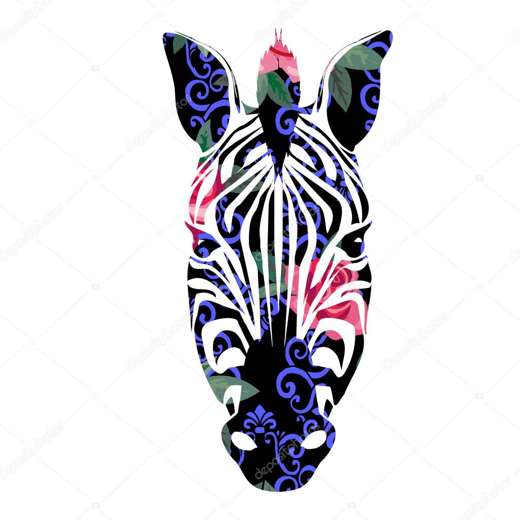  Color abstract zebra 