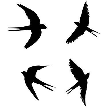  illüstrasyon soyut yutar