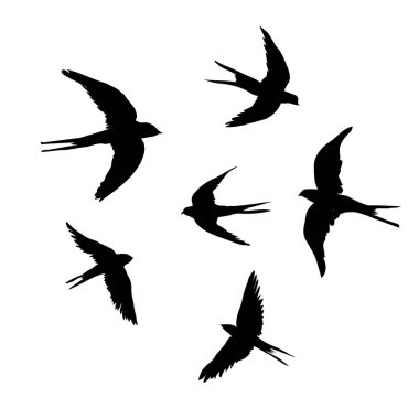  illüstrasyon soyut yutar