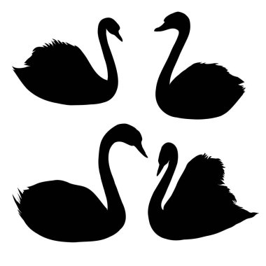  soyut kuğular illüstrasyon