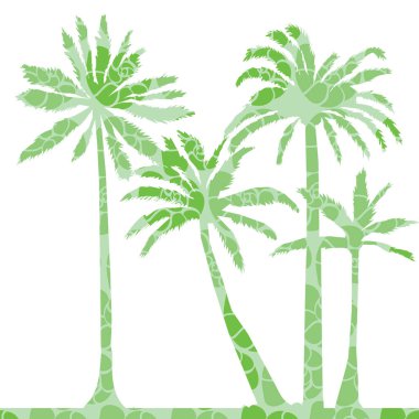 renk siluetleri palms 