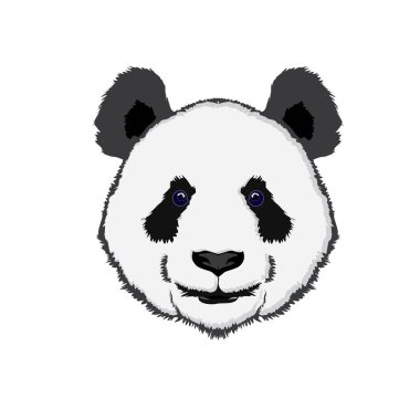 Vahşi panda illüstrasyon