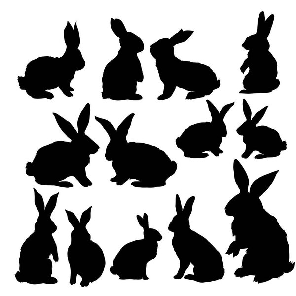 набор силуэтов черного кролика
 