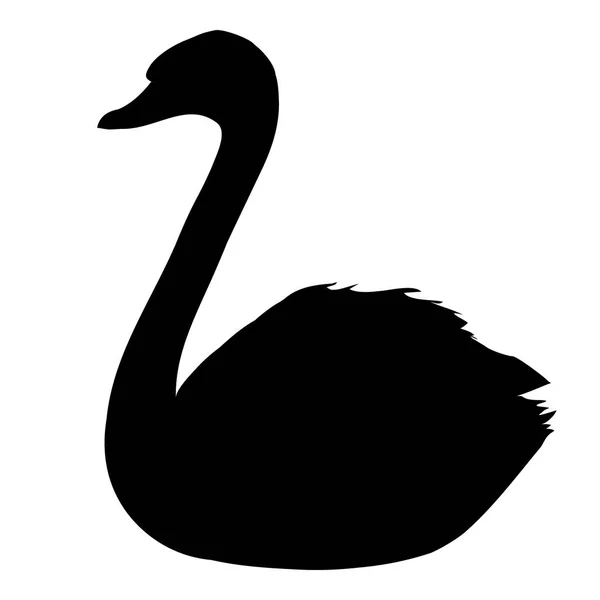 Ilustración cisne abstracta — Vector de stock