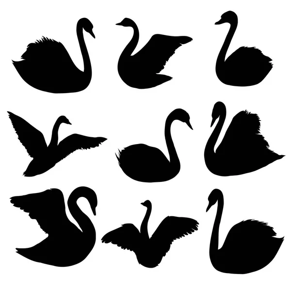 Ilustración cisnes abstractos — Vector de stock