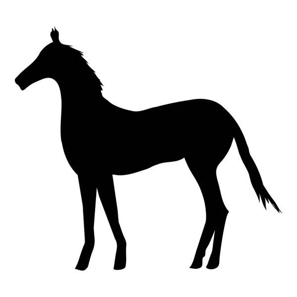 Black zebra silhouette — Stock Vector