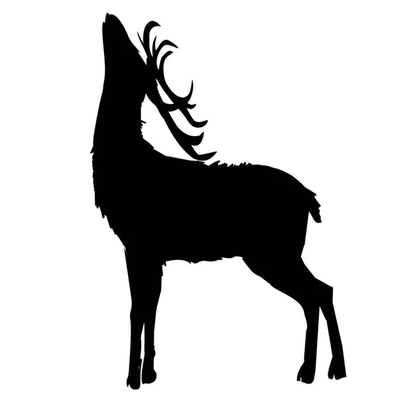 Black deer silhouette — Stock Vector