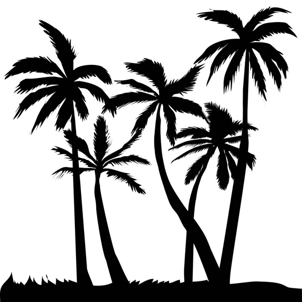 Färg palms silhuetter — Stock vektor