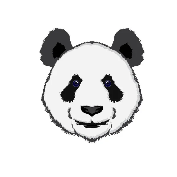 Ilustración del panda salvaje — Vector de stock