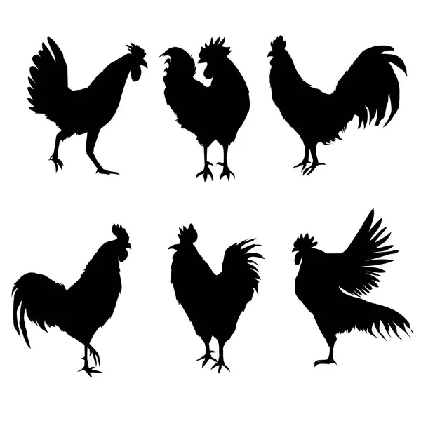 Conjunto de silueta de polla negra — Vector de stock