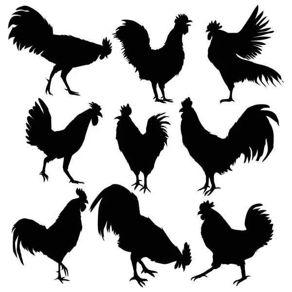  Siyah horoz siluet kümesi