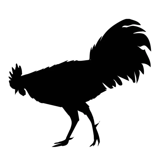 Black cock silhouette — Stock Vector