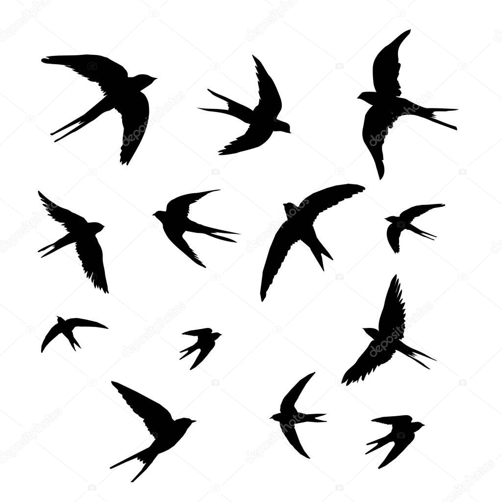  abstract swallows illustration
