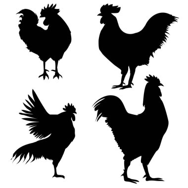  Siyah horoz siluet kümesi