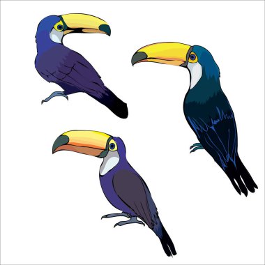  soyut tukans illüstrasyon