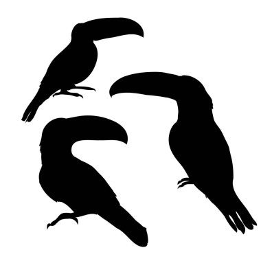  soyut tukans illüstrasyon