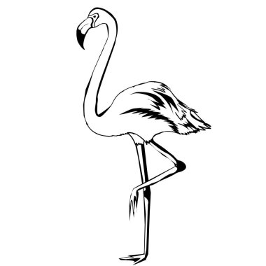  soyut flamingo illüstrasyon