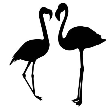  soyut flamingoları illüstrasyon