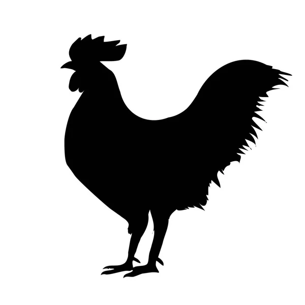 Silueta de polla negra — Archivo Imágenes Vectoriales