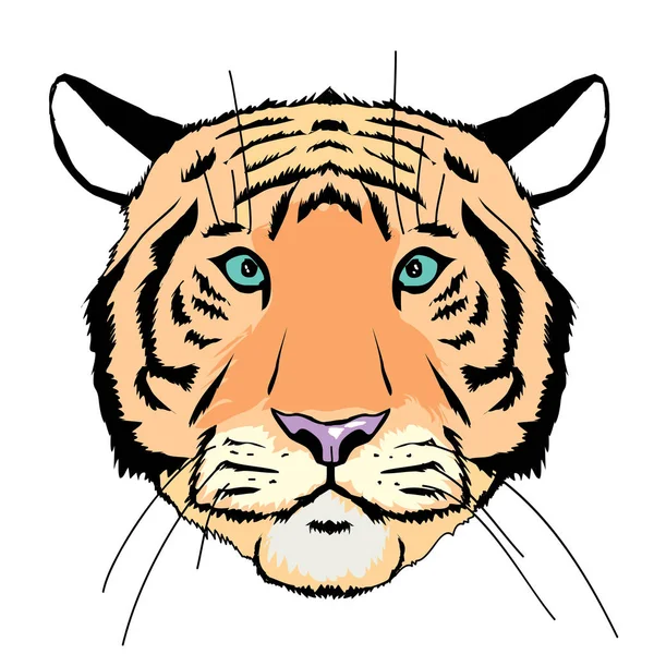 Ilustración de tigre salvaje — Vector de stock