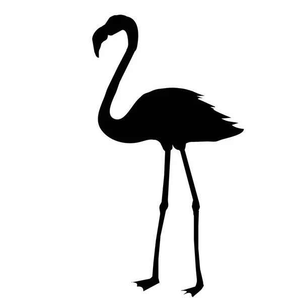 Resumo ilustração flamingo — Vetor de Stock