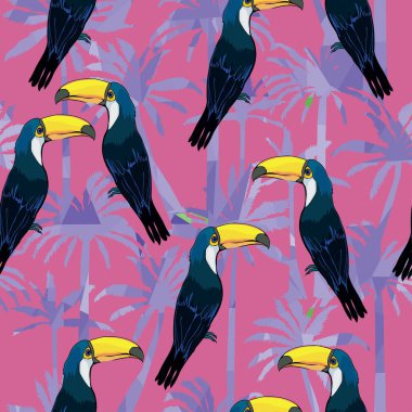 Toucan kuşlar sorunsuz patterm