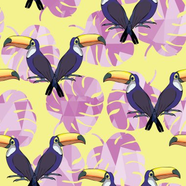 Toucan kuşlar sorunsuz patterm