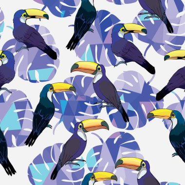 Toucan kuşlar sorunsuz patterm