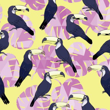 Toucan kuşlar sorunsuz patterm