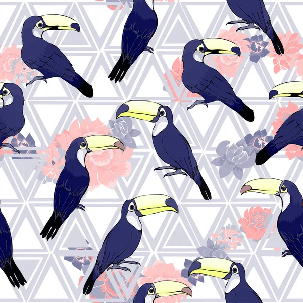 Pássaros Toucan patterm sem costura — Vetor de Stock