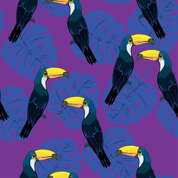 Oiseaux toucans brevet sans couture — Image vectorielle