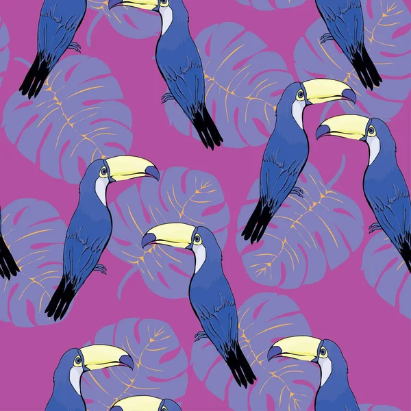 Toucan birds seamless patterm