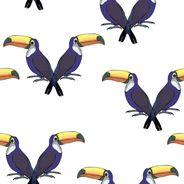 巨嘴鸟鸟无缝模式 — 图库矢量图片
