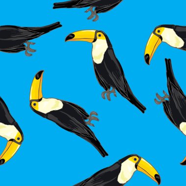 Toucan kuşlar sorunsuz patterm