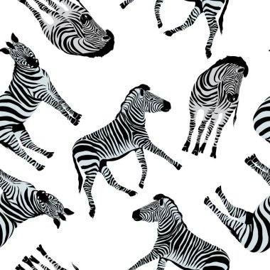 Zebra Kusursuz Deseni