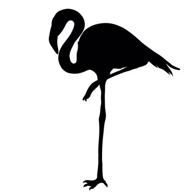 siyah Flamingo şekli